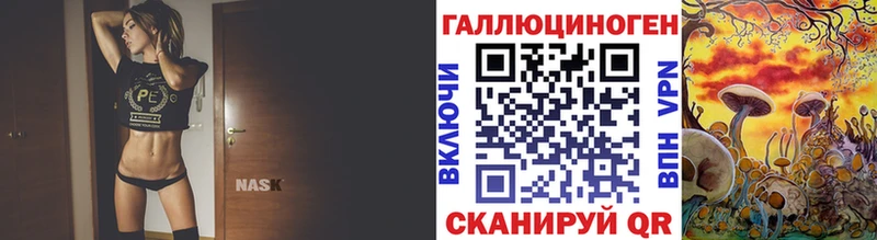 Псилоцибиновые грибы MAGIC MUSHROOMS  OMG зеркало  Алейск 